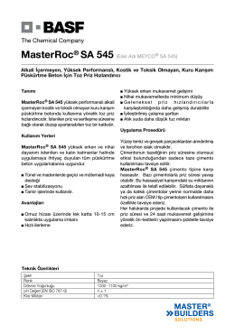 MasterRoc® SA 545 (Eski Adı MEYCO® SA 545) Alkali