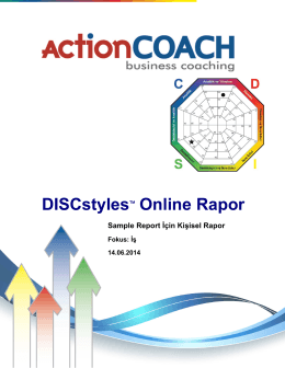 DISCstyles Online Rapor