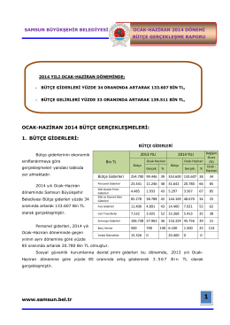 2014 Ocak-Haziran Bütçe Gerçekleşme Raporu