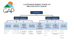 gap idaresi merkez teşkilatı organizasyon şeması