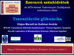 Transzlációs glikomika - ERC - Magyar Tudományos Akadémia