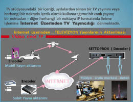protel- nedim pala: internetten tv yayıncılık