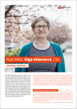 Prof. RNDr. Olga Valentová, CSc.