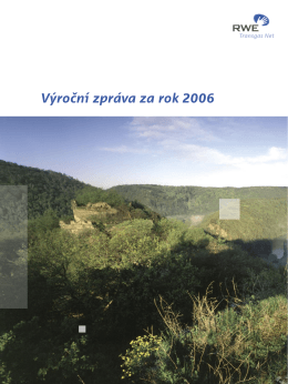 Výroční zpráva za rok 2006