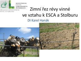 Zimní řez révy vinné ve vztahu k ESCA a Stolburu
