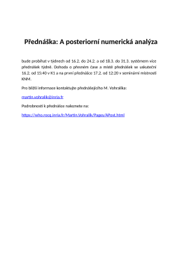 Přednáška: A posteriorní numerická analýza