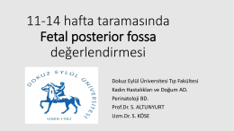 11-14 hafta taramasında Fetal posterior fossa değerlendirmesi