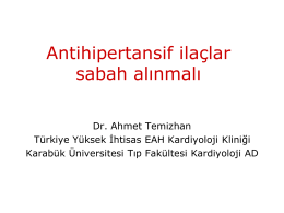 Dr. Ahmet Temizhan