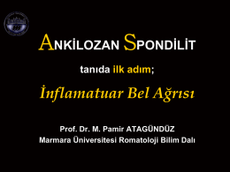 Prof. Dr. Mehmet Pamir ATAGÜNDÜZ
