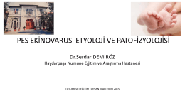 Dr. Serdar Demiroz