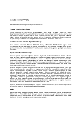 Denetçi Raporu - Petkim PetroKimya Holding A.Ş.
