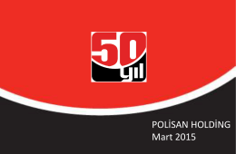 Polisan Holding 2014