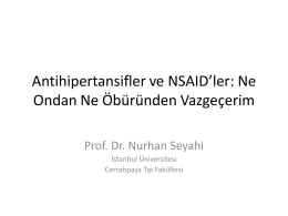 Dr. Nurhan Seyahi