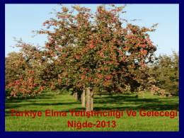 Türkiye Elma Yetiştiriciliği Ve Geleceği Niğde-2013