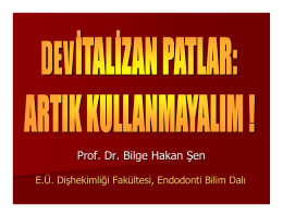 Prof. Dr. Bilge Hakan Şen