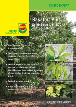 Compo Basafer Plus