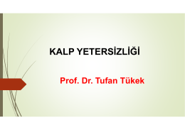 Prof. Dr. Tufan Tükek