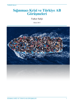 Sığınmacı Krizi ve Türkiye AB Görüşmeleri, Ekim 2015 – T. Saliji