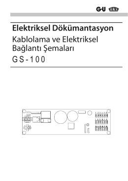 GS-100 Türkçe Bağlantı Şeması