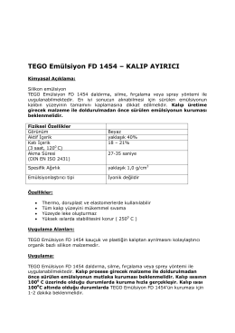 TEGO Emülsiyon FD 1454 – KALIP AYIRICI