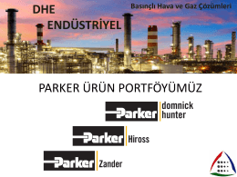PowerPoint Sunusu - DHE Endüstriyel Basınçlı Hava ve Gaz
