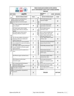 iskele kurulum elemanı seviye-3rev01 a2/p1 performans sınavı aday