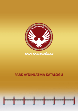 Untitled - Mamiroğlu