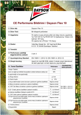 CE Performans Bildirimi / Dayson Flex 10