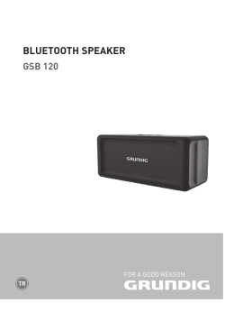 bluetooth speaker gsb 120