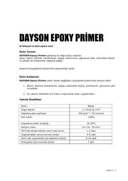 DAYSON EPOXY PRİMER - Dayson Group`a Hoşgeldiniz