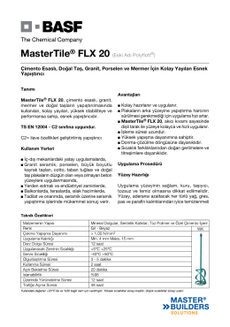 MasterTile® FLX 20 (Eski Adı Polyflott®) Çimento