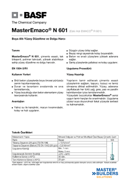 MasterEmaco® N 601 (Eski Adı EMACO® R 601) Boya Altı Yüzey