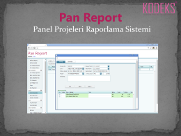 Pan Report - Kodeks Yazılım