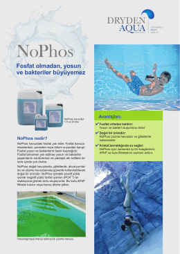 NoPhos - the Dryden Aqua Pools Website