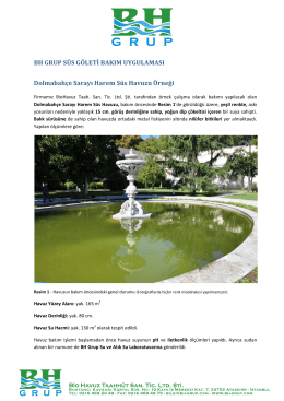 Dolmabahçe Sarayı Süs Havuzu Temizlik Raporu için tıklayınız