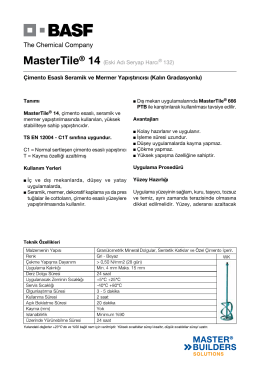 MasterTile® 14 (Eski Adı Seryap Harcı® 132