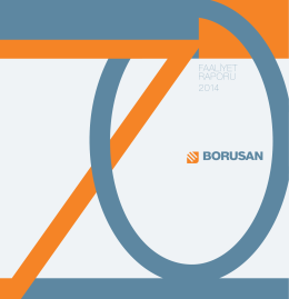PDF olarak indir - Borusan Yatırım