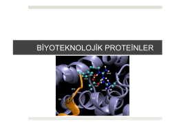 BÖLÜM 3: Biyoteknolojik Proteinler