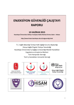 Çalıştay Raporu - HİSAM - Hacettepe Üniversitesi