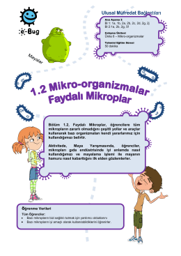 Bölüm 1.2, Faydalı Mikroplar, öğrencilere tüm mikropların - e-Bug