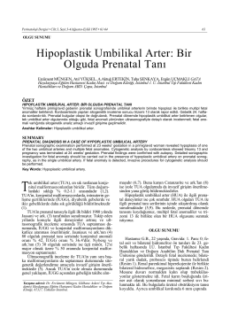 Hipoplastik Umbilikal Arter: Bir Olguda Prenatal Tanı