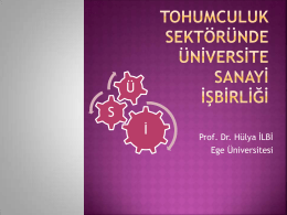 Prof. Dr. Hülya ILBI