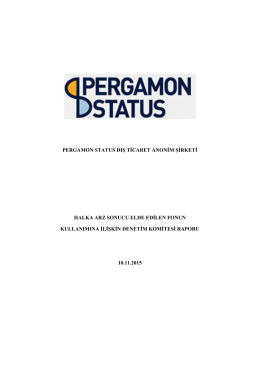 Pergamon Status Fon Kullanım Raporu-4