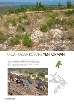 Urla Özbek Ağaçlandırma Projesi