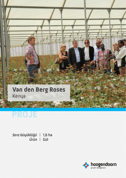 Van den Berg Roses Hakkında