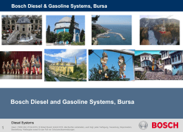 Bosch Diesel & Gasoline Systems, Bursa