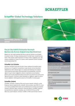 Schaeffler Global Technology Solutions