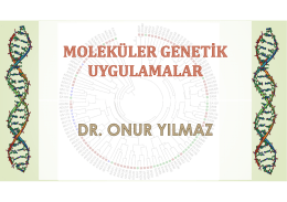 c. - Dr. Onur YILMAZ