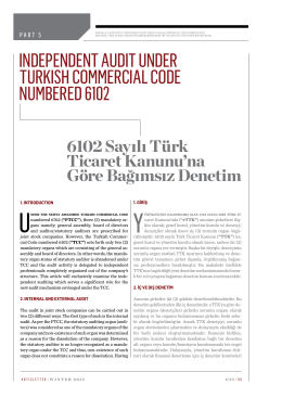 Independent AudIt under turkIsh CommerCIAl Code numbered 6102