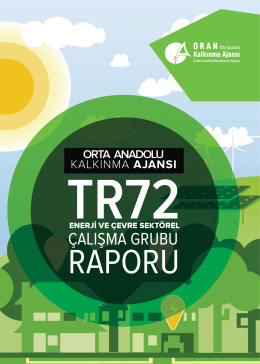 TR72 Enerji ve Çevre Sektörel Çalışma Grubu Raporu
